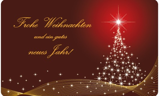 Frohe Weihnachten und einen guten Rutsch ins neue Jahr!